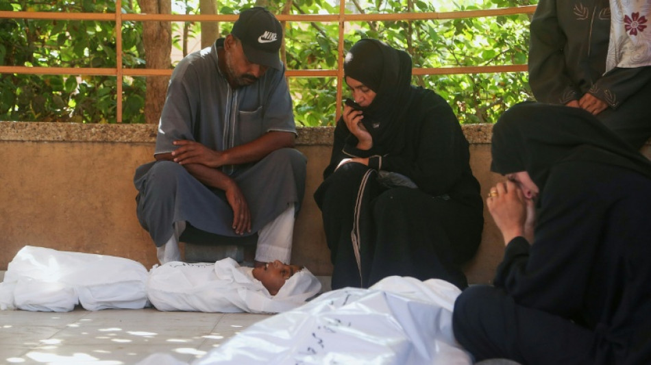 M&aacute;s de 100 ONGs advierten de "hambruna masiva" en Gaza