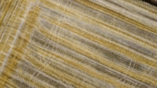 EU-Parlament stimmt &uuml;ber Z&ouml;lle auf D&uuml;ngemittel aus Russland und Belarus ab