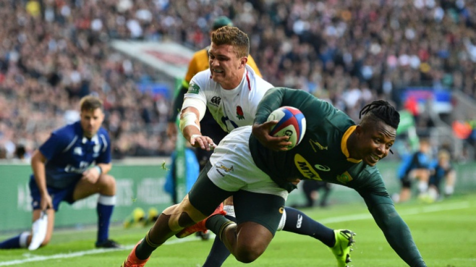 Springboks recall Arendse, Nkosi for Argentina Test