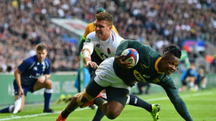 Springboks recall Arendse, Nkosi for Argentina Test