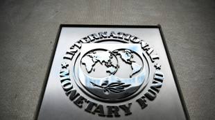 FMI espera que economia argentina 'comece a crescer' no segundo semestre