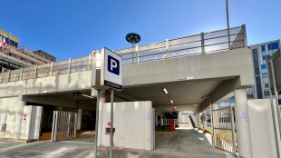 Un sistema di navigazione per trovare parcheggio in meno tempo