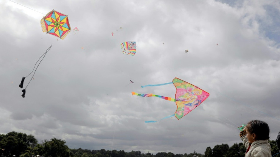 Las cometas colombianas surcan con honores el cielo en Francia