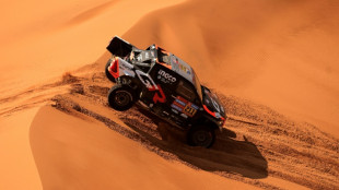 Dakar-2025: Lategan se conforte en auto &agrave; la 8e &eacute;tape