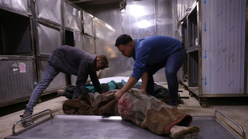 EEUU dice que respuesta de Ham&aacute;s a proposici&oacute;n de cese el fuego es "inaceptable"