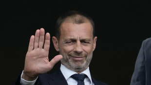 Ceferin 'Italia,Gravina gran lavoro ma infrastrutture terribili'