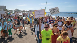 Des milliers de personnes manifestent aux Canaries contre le surtourisme