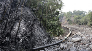 Equateur: fuite d'un oléoduc de pétrole dans la jungle amazonienne