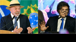 Abf&auml;llige &Auml;u&szlig;erungen Mileis l&ouml;sen Eklat zwischen Argentinien und Brasilien aus