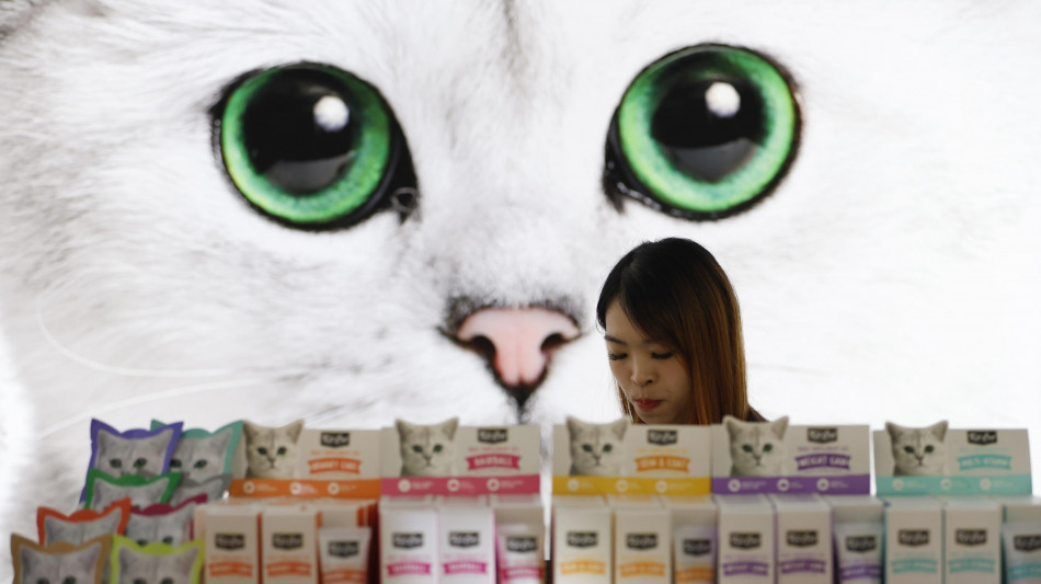 Corre la 'pet economy', spesa a 6,7 miliardi, +76% in 10 anni