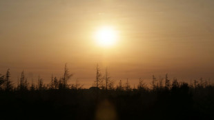 UN climate panel head wants swift end to deadlock over key scientific report