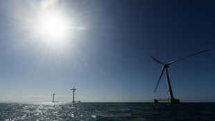 Land Niedersachsen fordert schnelleren Ausbau der Windenergie auf dem Meer