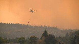 La pluie offre un peu de r&eacute;pit en Belgique, mobilis&eacute;e face &agrave; un incendie historique