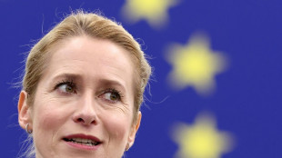 Kallas ruft westliche Verb&uuml;ndete zu Einigkeit gegen&uuml;ber Russland auf