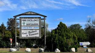 Des milliers de manifestants &agrave; Saint-Gaudens contre la fermeture de l'usine Fibre Excellence