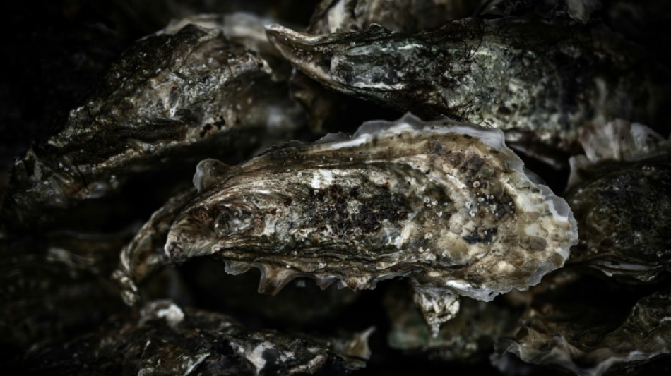 La vente des hu&icirc;tres d'Arcachon &agrave; nouveau autoris&eacute;e &agrave; partir de vendredi 