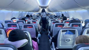 Compagnies aériennes: record de passagers et rentabilité en hausse prévus en 2025