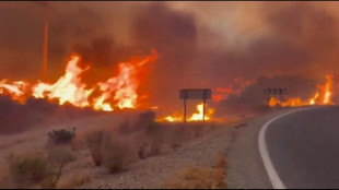 Governatore Andalusia, '12 morti e 19 persone disperse nell'incendio'