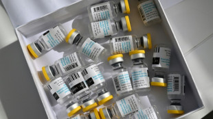 Enxurrada de informa&ccedil;&otilde;es falsas sobre a mpox ap&oacute;s alerta da OMS