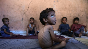 'Famine', 'starvation': the challenges in defining Gaza's plight