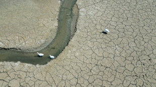 Nouveau record de sécheresse en Europe et sur le pourtour méditerranéen en mai