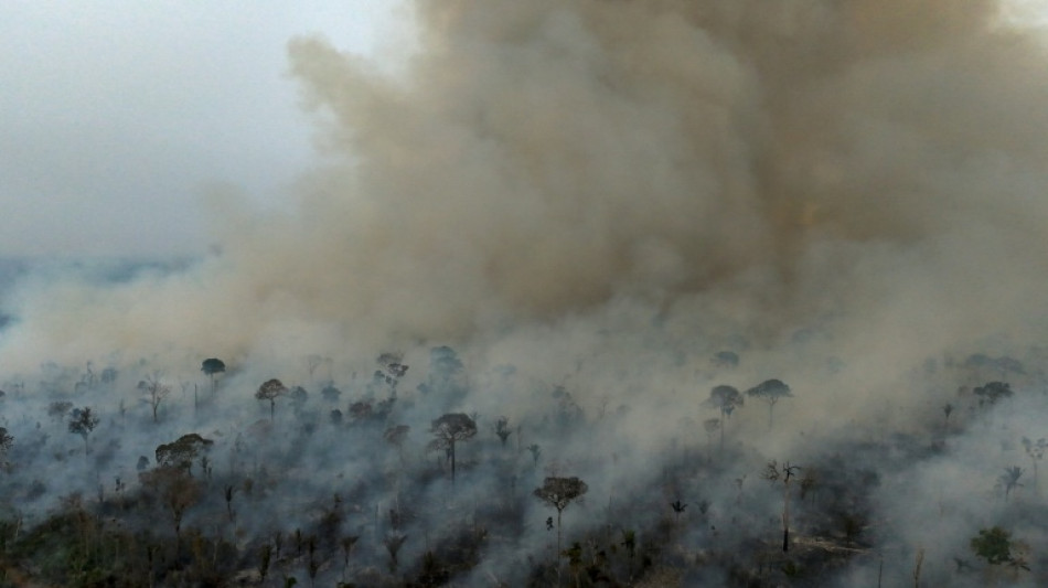 Fires in Brazil's Amazon dropped to historic low in 2025