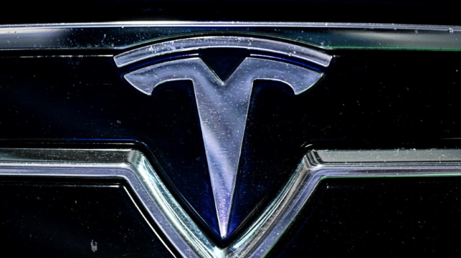 French Tesla customers sue over brand becoming 'extreme right'