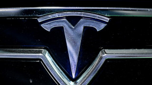 French Tesla customers sue over brand becoming 'extreme right'