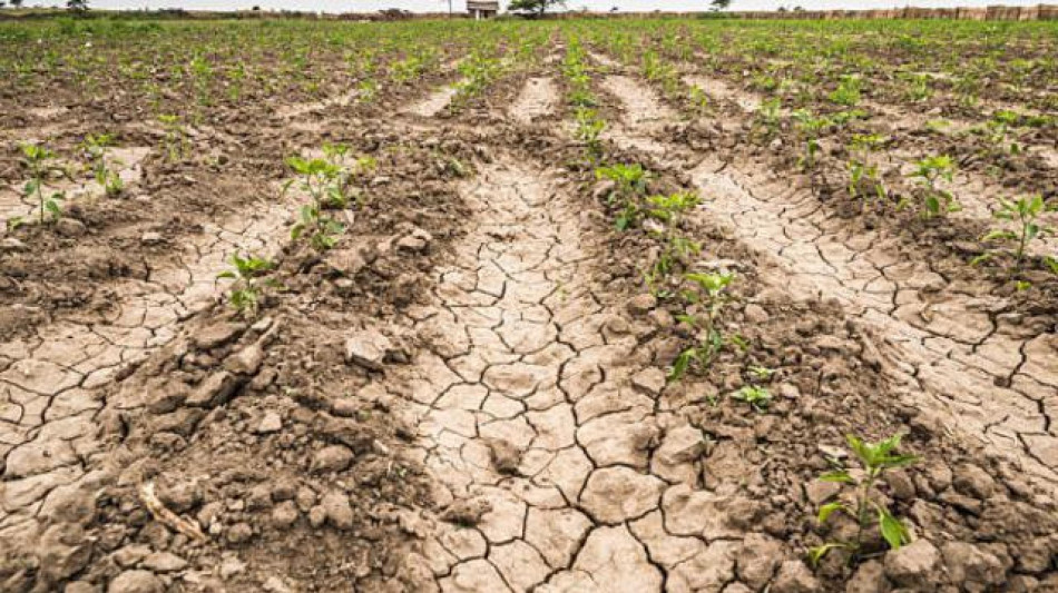 La siccit&agrave; minaccia l'Europa,colpito soprattutto il Mediterraneo