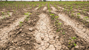 Siccità, dal 2002 le aree colpite sono aumentate ogni anno