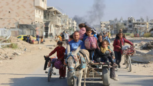 Burros de Gaza s&atilde;o uma ajuda vital em tempos de guerra