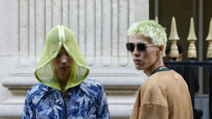 De la m&uacute;sica y la moda hasta Kamala Harris, la est&eacute;tica "brat" es reina