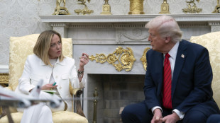 Orsini: da Trump sulla premier "parole veramente inopportune'