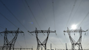 L'ex&eacute;cutif actionne son "bouclier tarifaire" pour contenir les factures d'&eacute;lectricit&eacute;