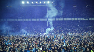 Pitch-invading fans face ban from Premier League games