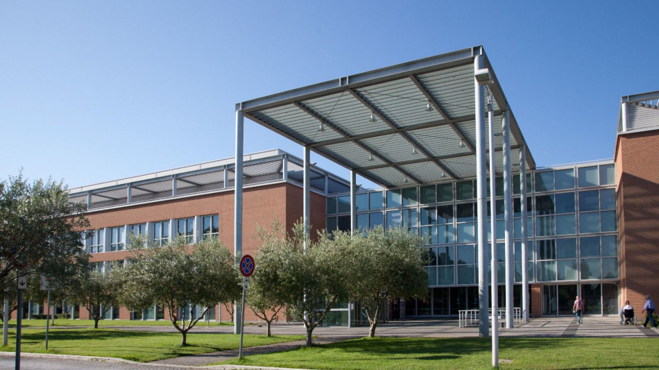 Stress, sonno e rumore influenzano il microbiota intestinale