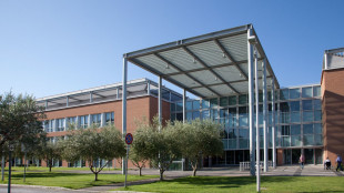 Stress, sonno e rumore influenzano il microbiota intestinale