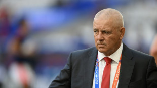 Gatland says criticism of Wales rugby set-up not aimed at coaches