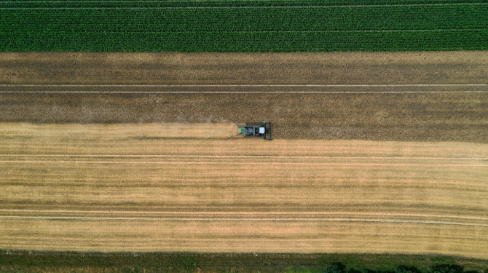 Bauernverband: Interesse der Landwirte am &Ouml;kolandbau erreicht neuen H&ouml;chstwert