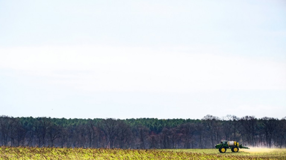 Trump aliviar&aacute; la cruzada migratoria para dar mano de obra a agricultores y hosteleros