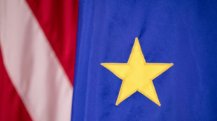 Stocks get mild bump from US court's tariff ruling