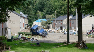 Europa vivi&oacute; un a&ntilde;o de desastres meteorol&oacute;gicos en 2021, advierte un observador clim&aacute;tico