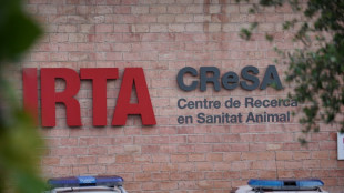 La polic&iacute;a espa&ntilde;ola registra un laboratorio en la investigaci&oacute;n por una posible fuga del virus de la peste porcina africana