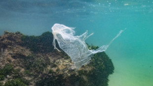 Nations call for strong plastics treaty as difficult talks loom