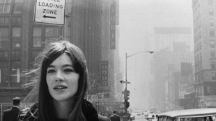 Fran&ccedil;oise Hardy, icono pop franc&eacute;s sin quererlo