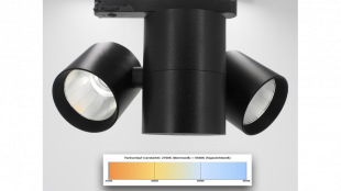 Tunable White Galeriebeleuchtung für perfekte Lichtstimmung